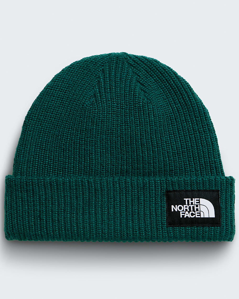 Salty Lined Beanie