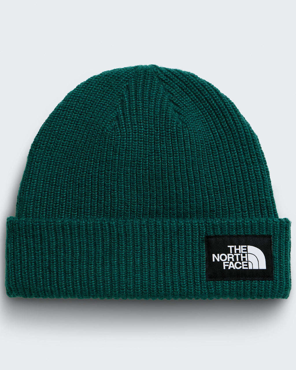 Salty Lined Beanie