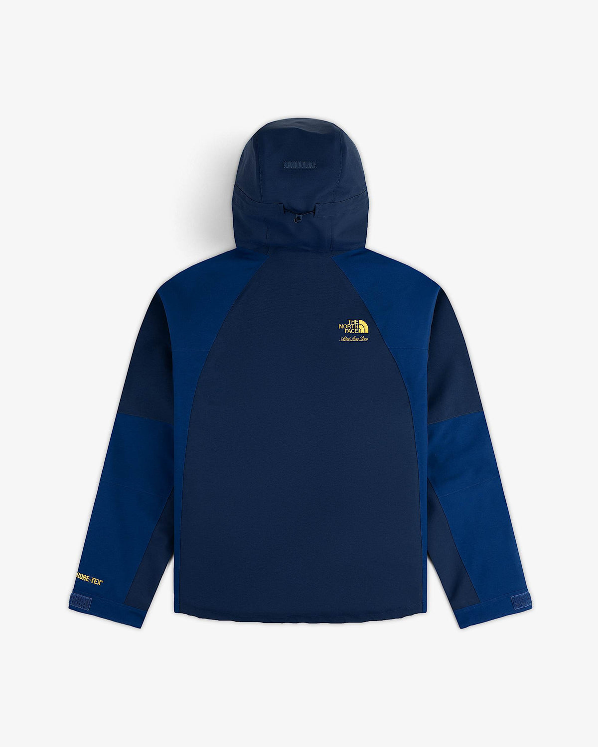 TNF™ X Aimé Leon Dore GORE-TEX® 2000 Mountain Jacket