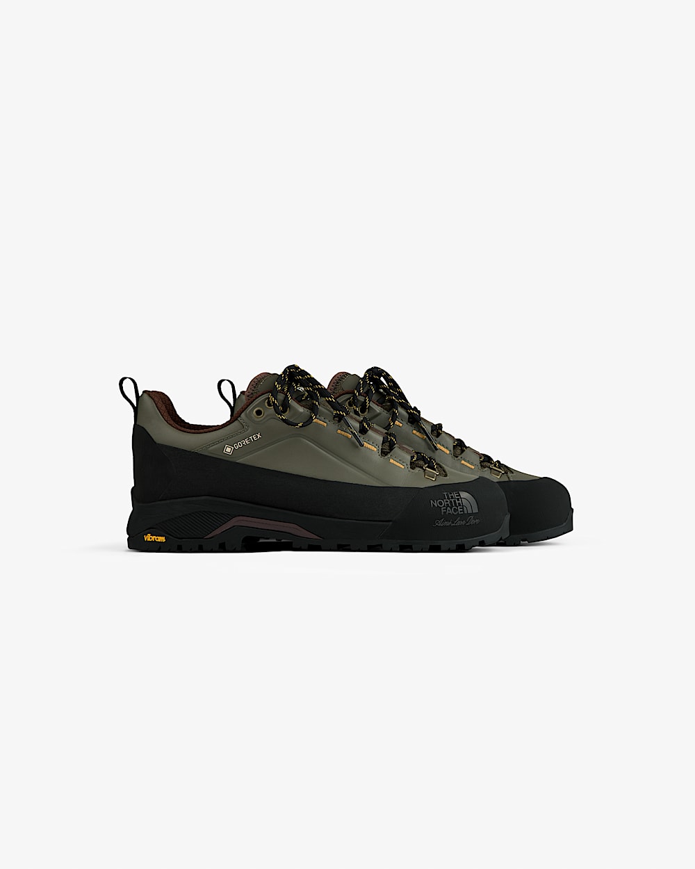 TNF™ X Aimé Leon Dore Verto Alpine GORE-TEX® Hiking Shoes