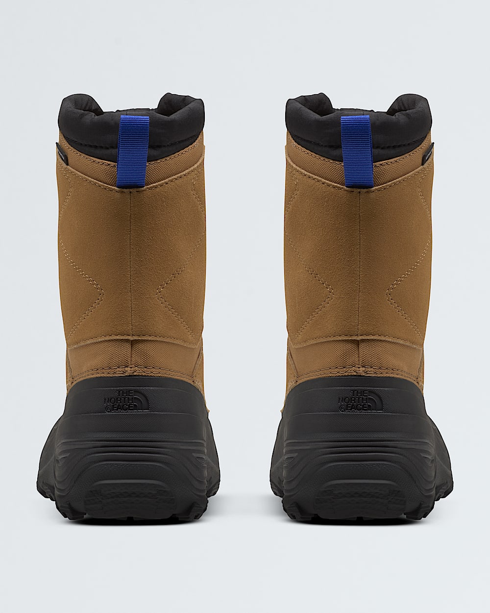 Youth Alpenglow V Waterproof Boots
