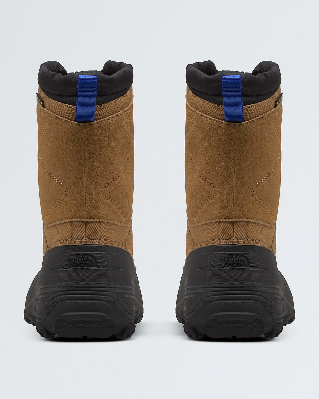 Youth Alpenglow V Waterproof Boots
