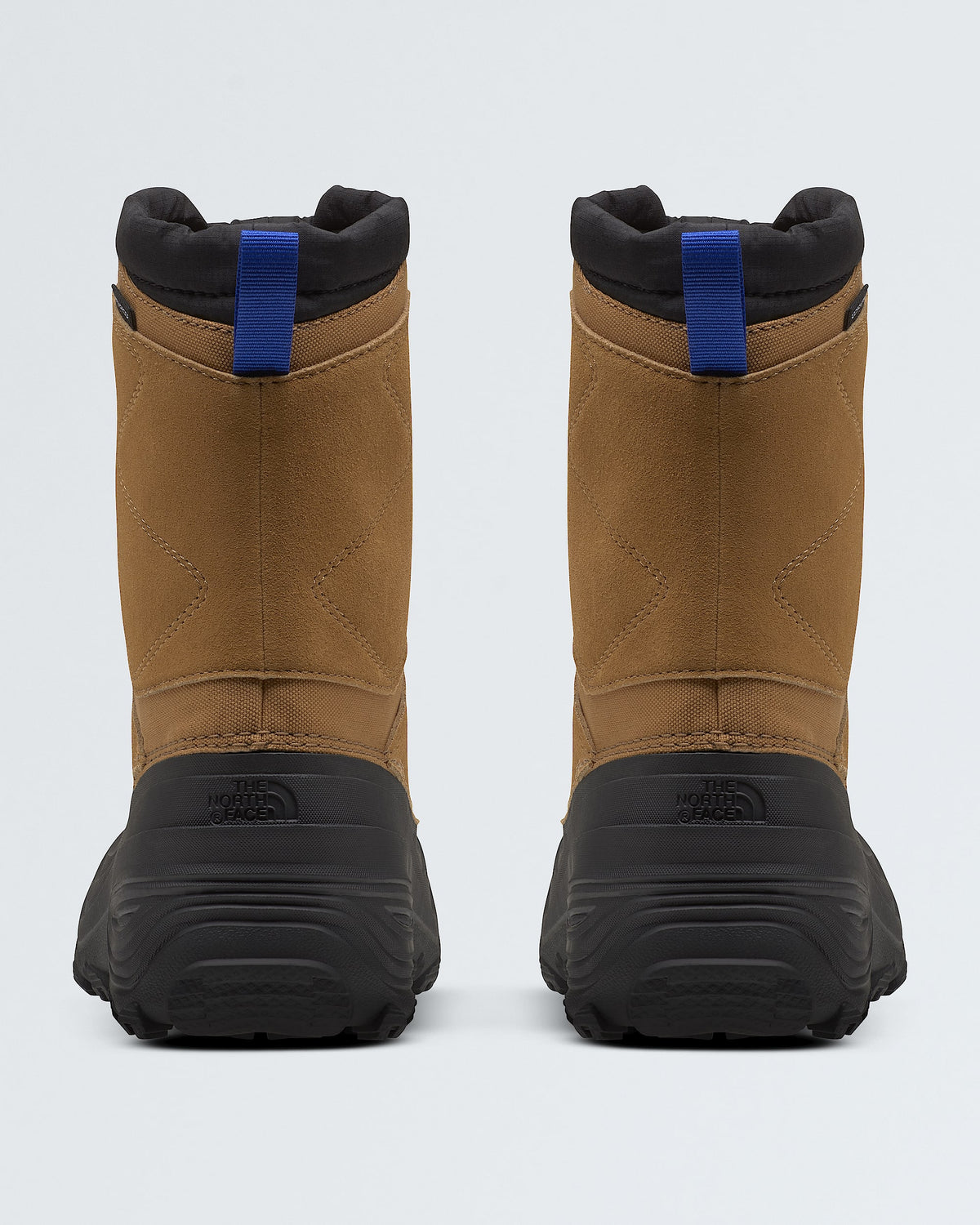 Youth Alpenglow V Waterproof Boots