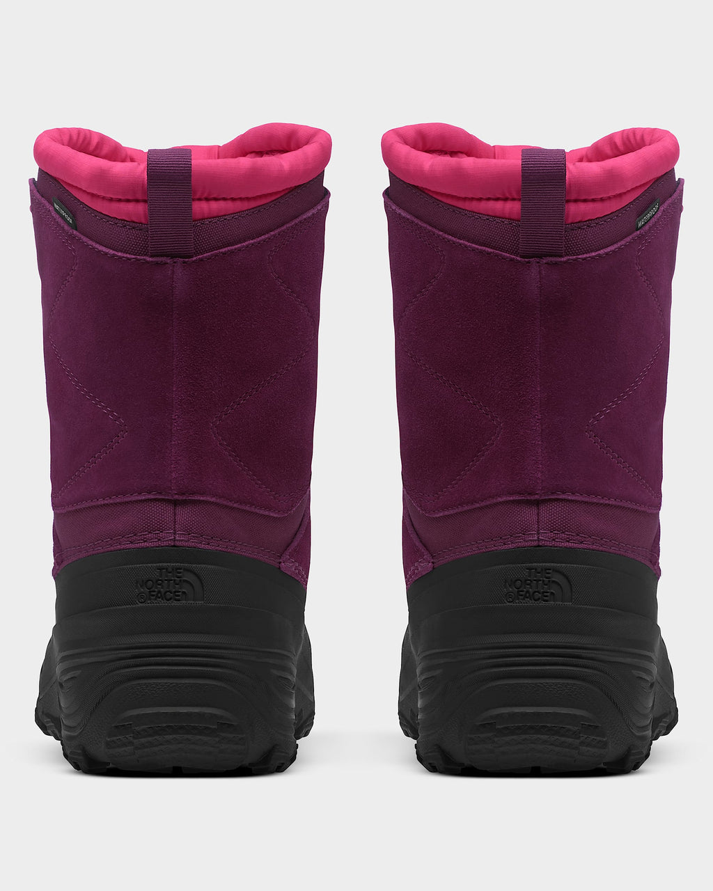 Youth Alpenglow V Waterproof Boots