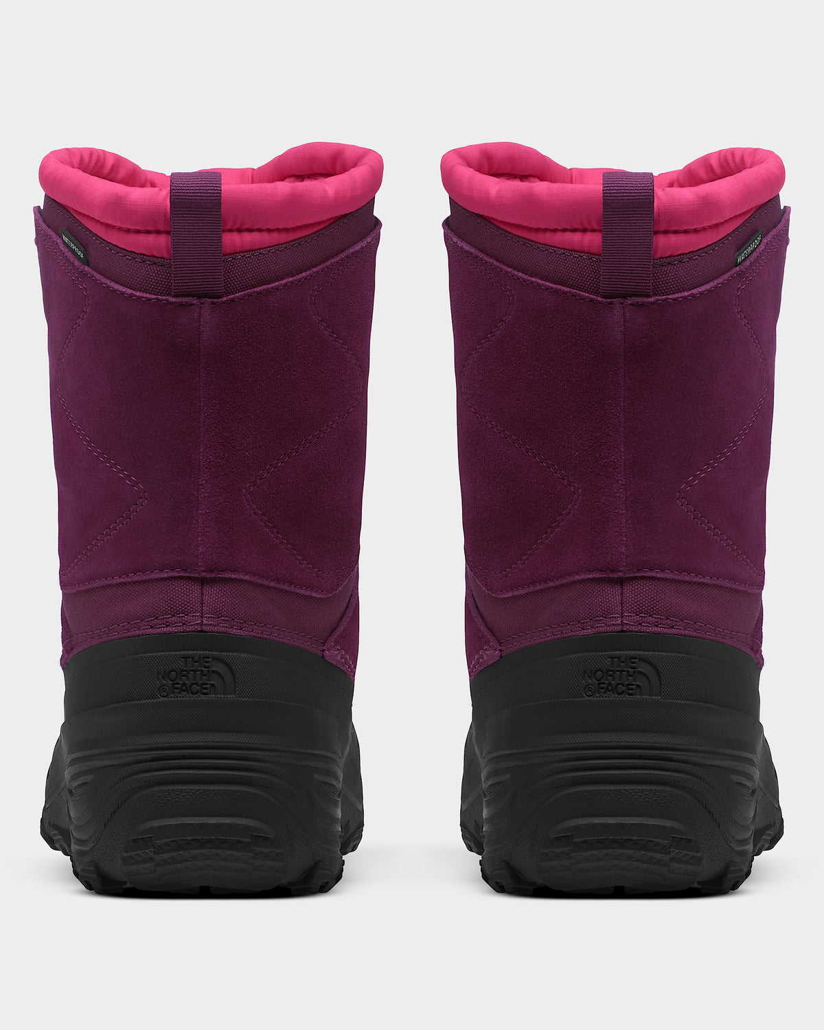 Youth Alpenglow V Waterproof Boots
