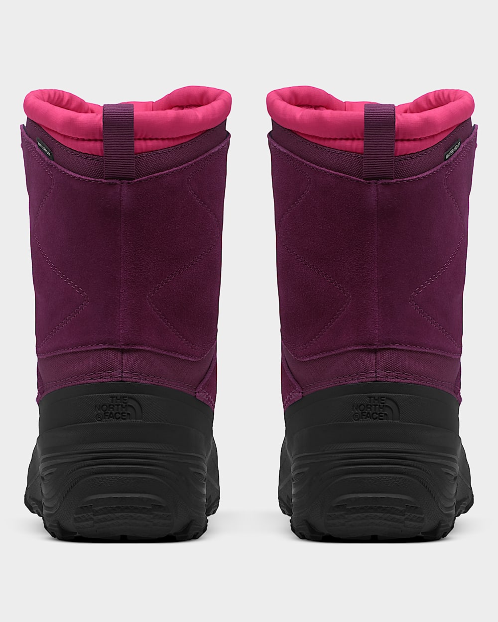 Youth Alpenglow V Waterproof Boots